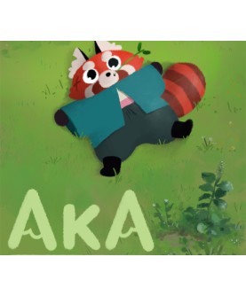 Aka Steam Key GLOBAL